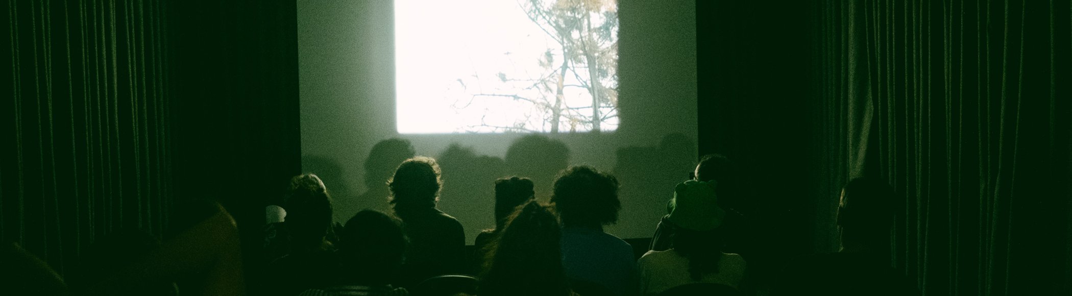 Film program