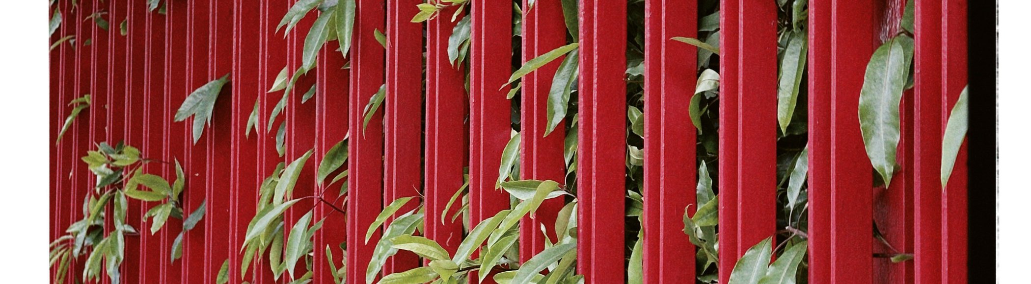 Restoring the Future