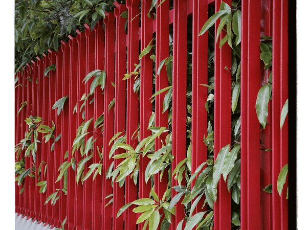 Restoring the Future