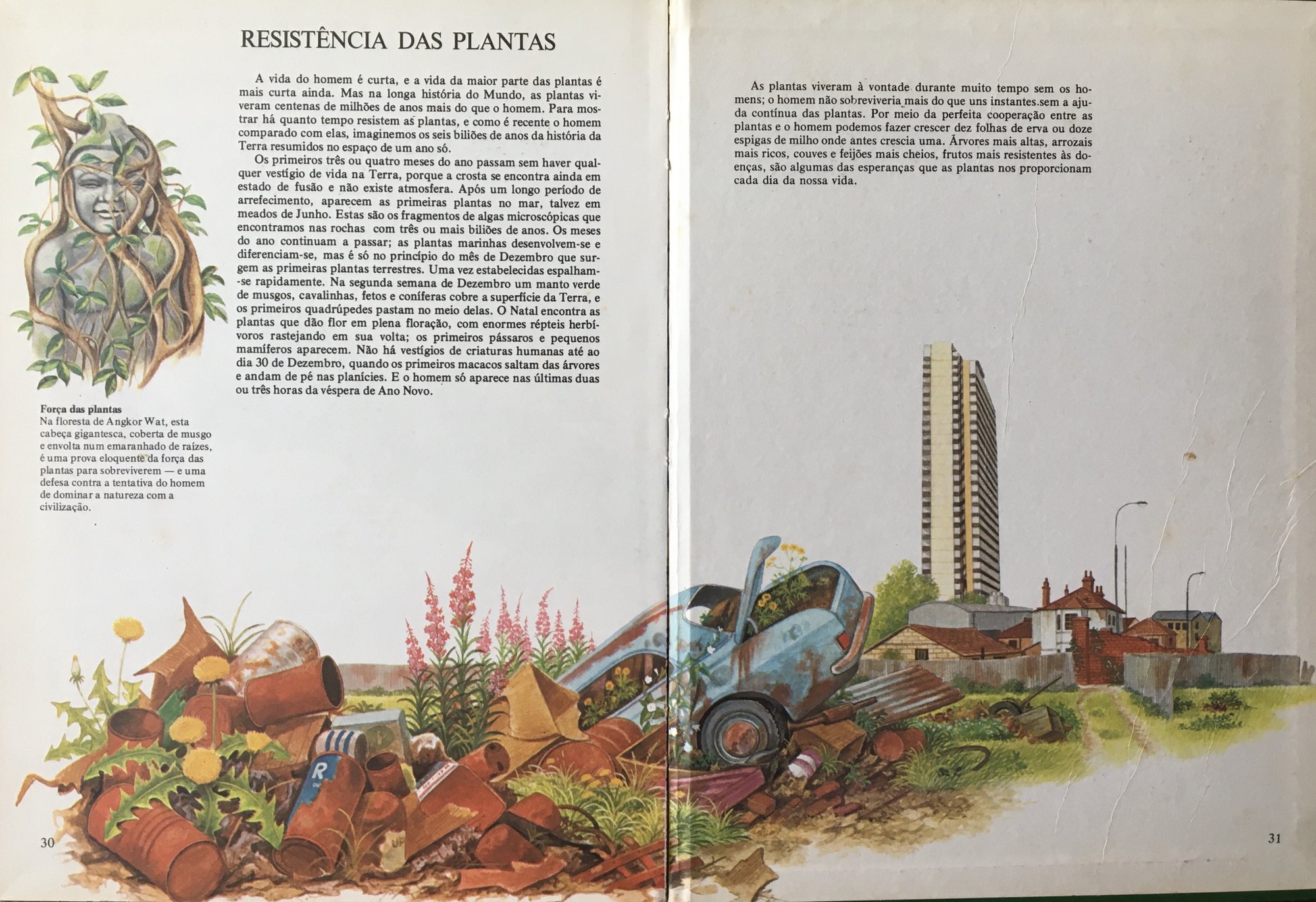 A vida das plantas, 1979