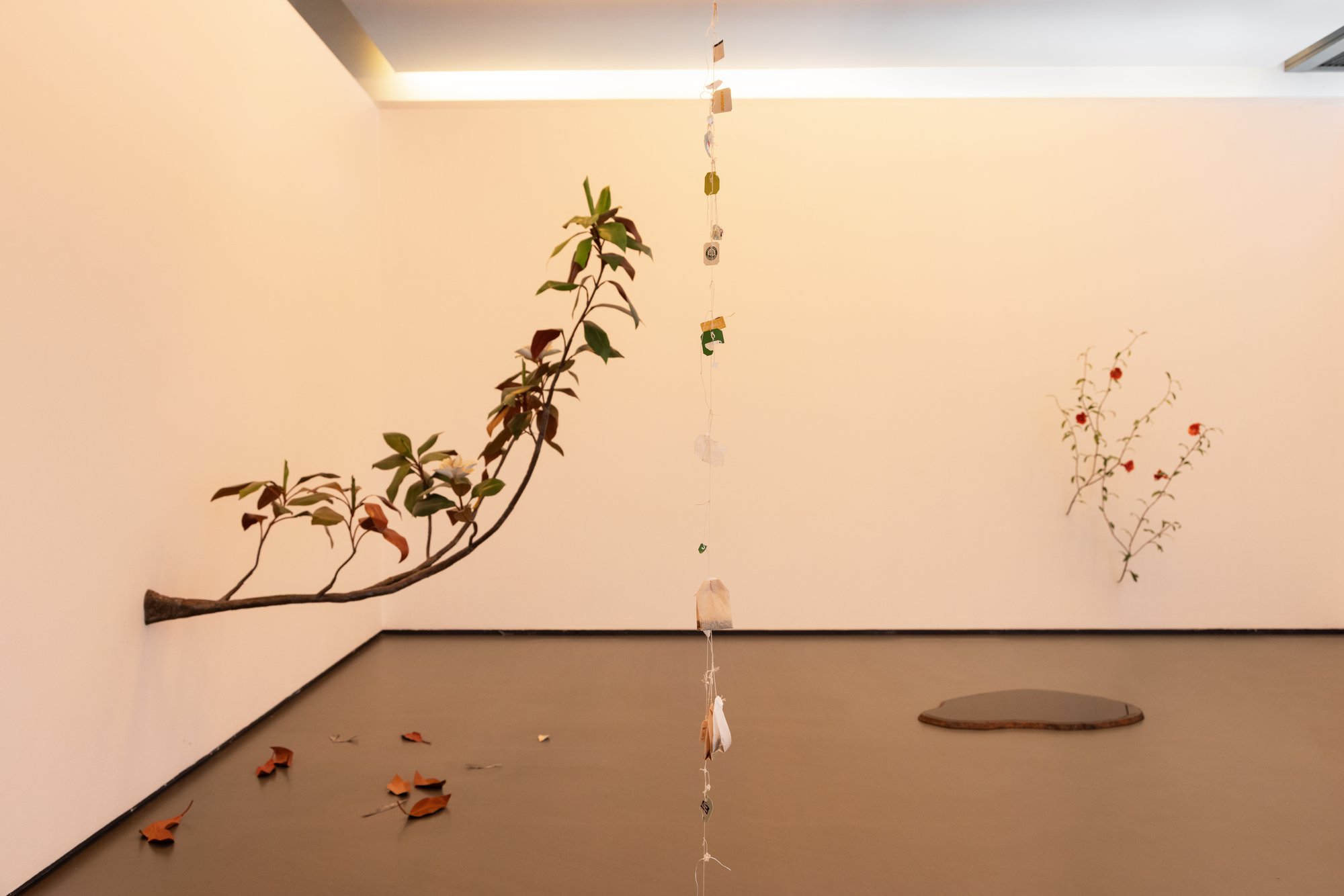 Vistas de instalação de Granada Granada (Magnolia, Granado), 2023, de Álvaro Urbano; Days of Inertia, 2024 e Tea Leaf Paradox, 2024, de Nina Canell. © Bruno Lopes.
