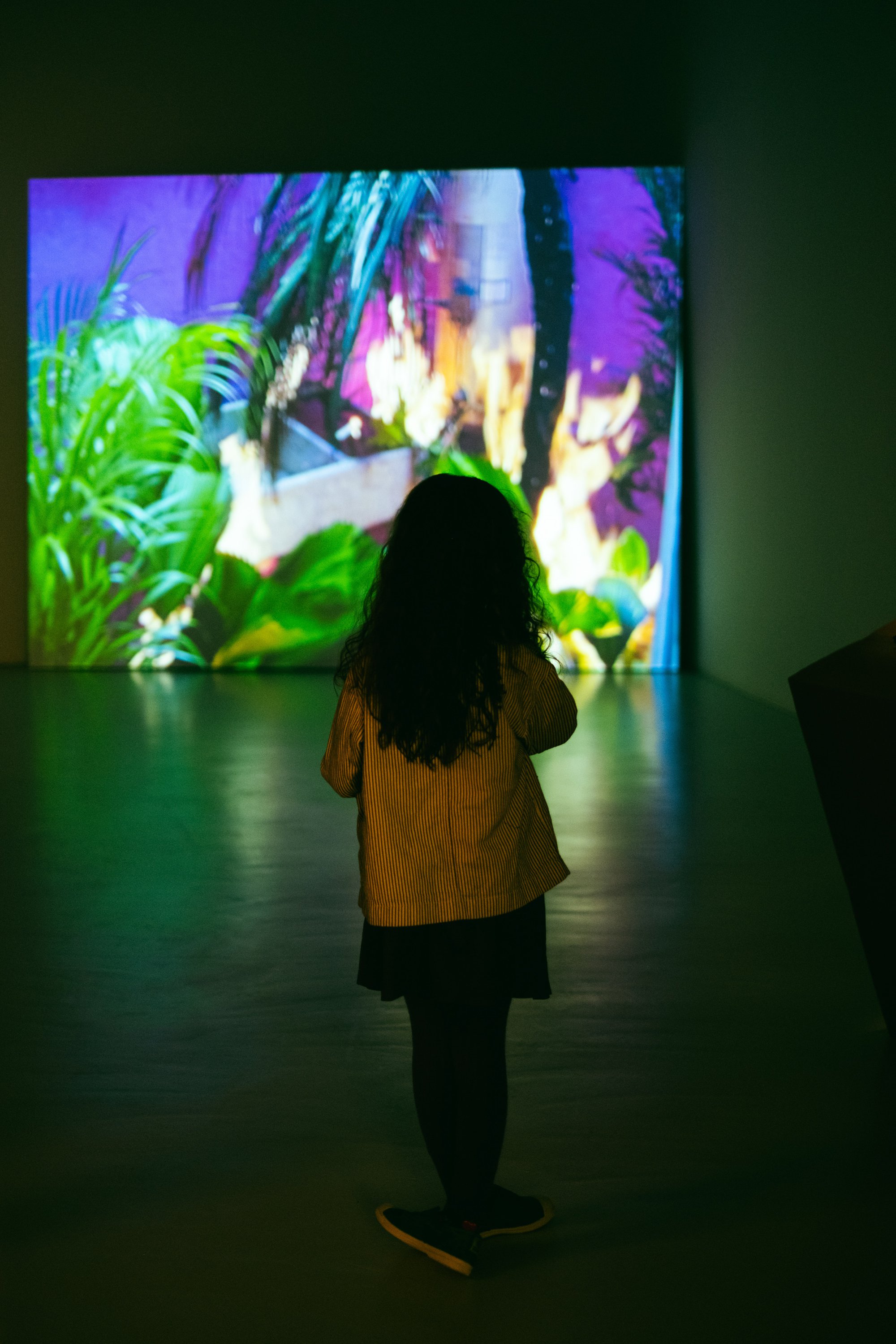 Vistas da instalação de vídeo “How fire thinks, 2019”, de Ariel Schlesinger. © Vera Marmelo.