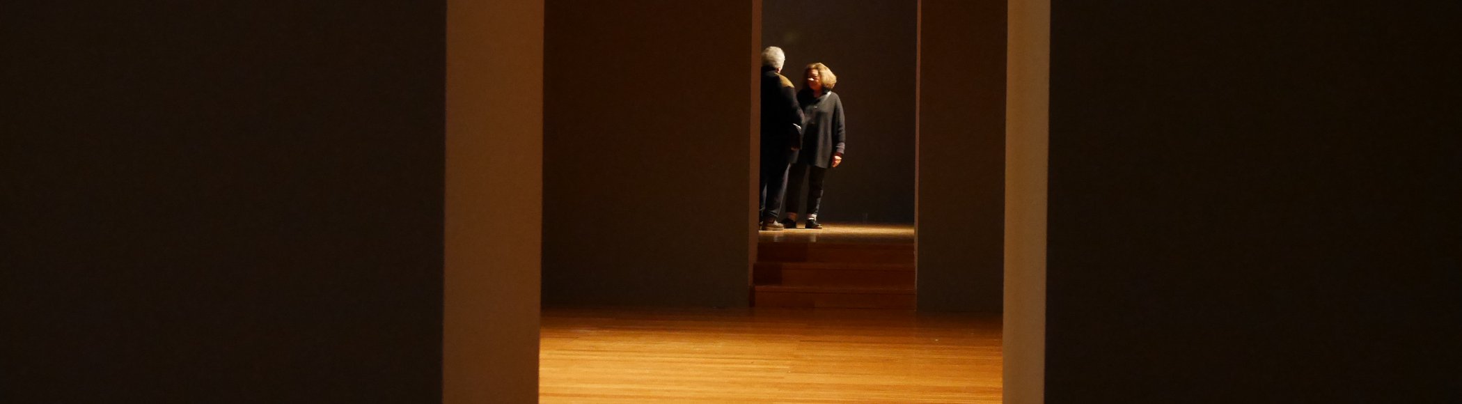 QUAL O FUTURO DA INSTITUIÇÃO CULTURAL?