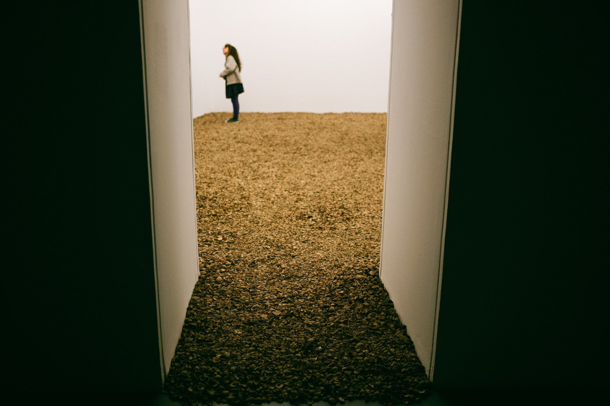 Vistas de instalação de Muscle Memory (2,5 tonnes), 2021/25, de Nina Canell. © Vera Marmelo.