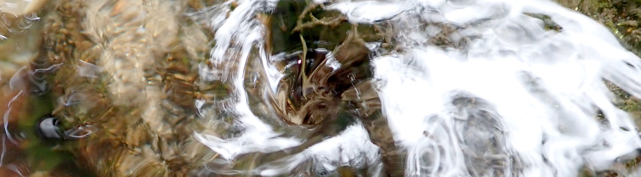 Water – Ecosystems in Coexistence