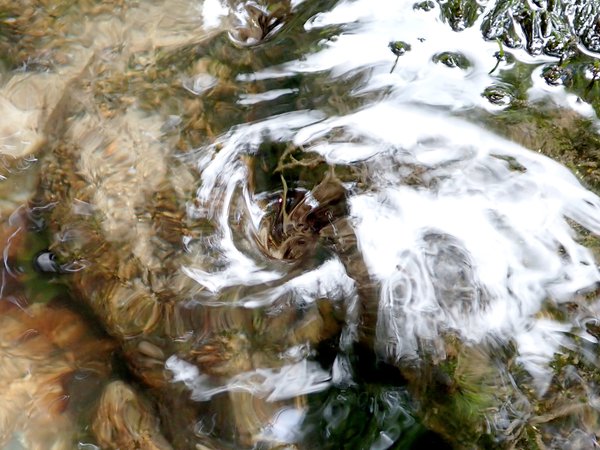 Water – Ecosystems in Coexistence