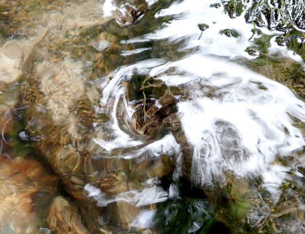 Drinkable: The Waters We Drink and Care For