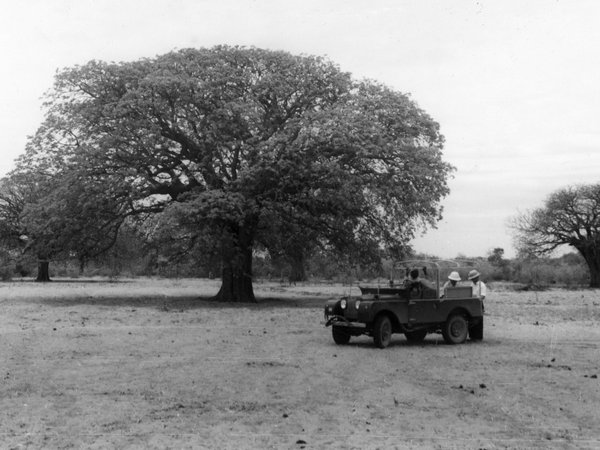 BOTÂNICA COLONIAL, BOTÂNICA DECOLONIAL