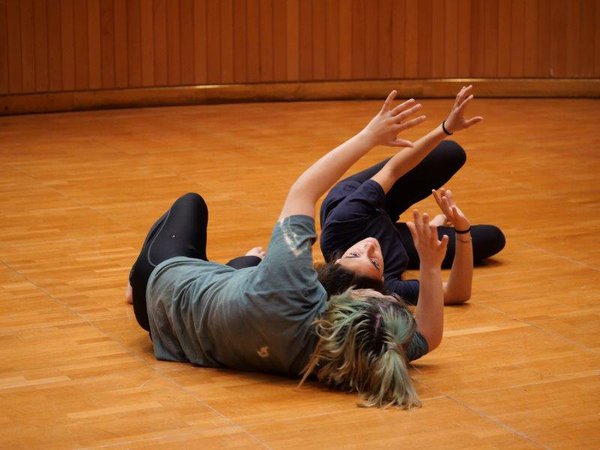 Projeto educativo em dança de repertório para adolescentes