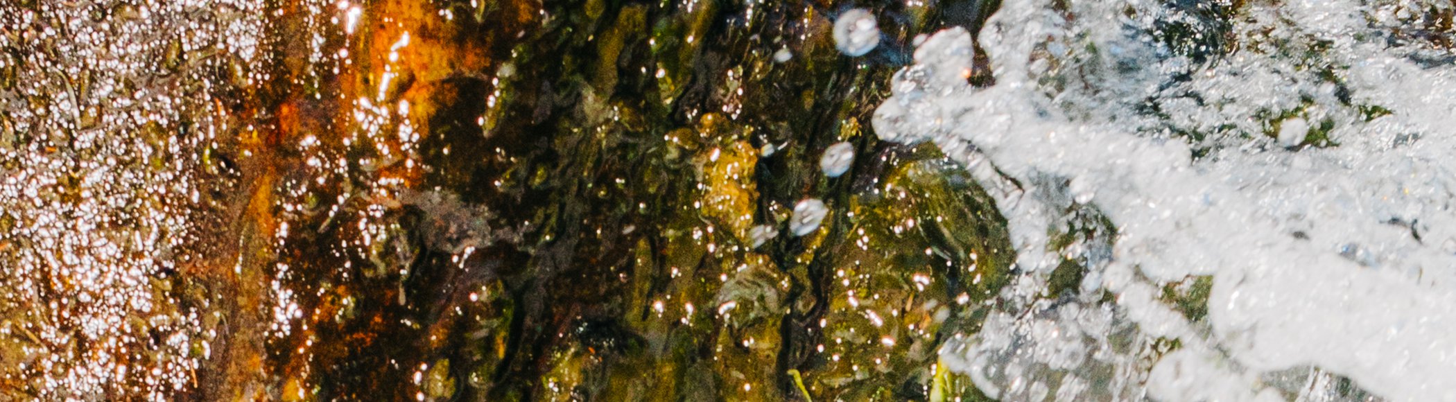 Water is Love: Waves of Regeneration