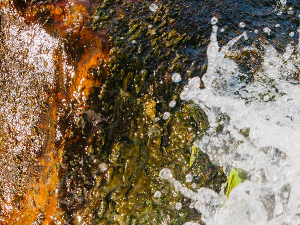 Water is Love: Waves of Regeneration