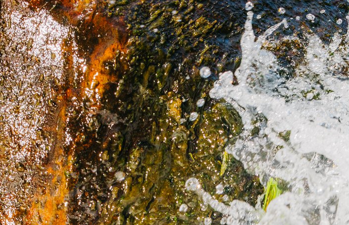 Water is Love: Waves of Regeneration