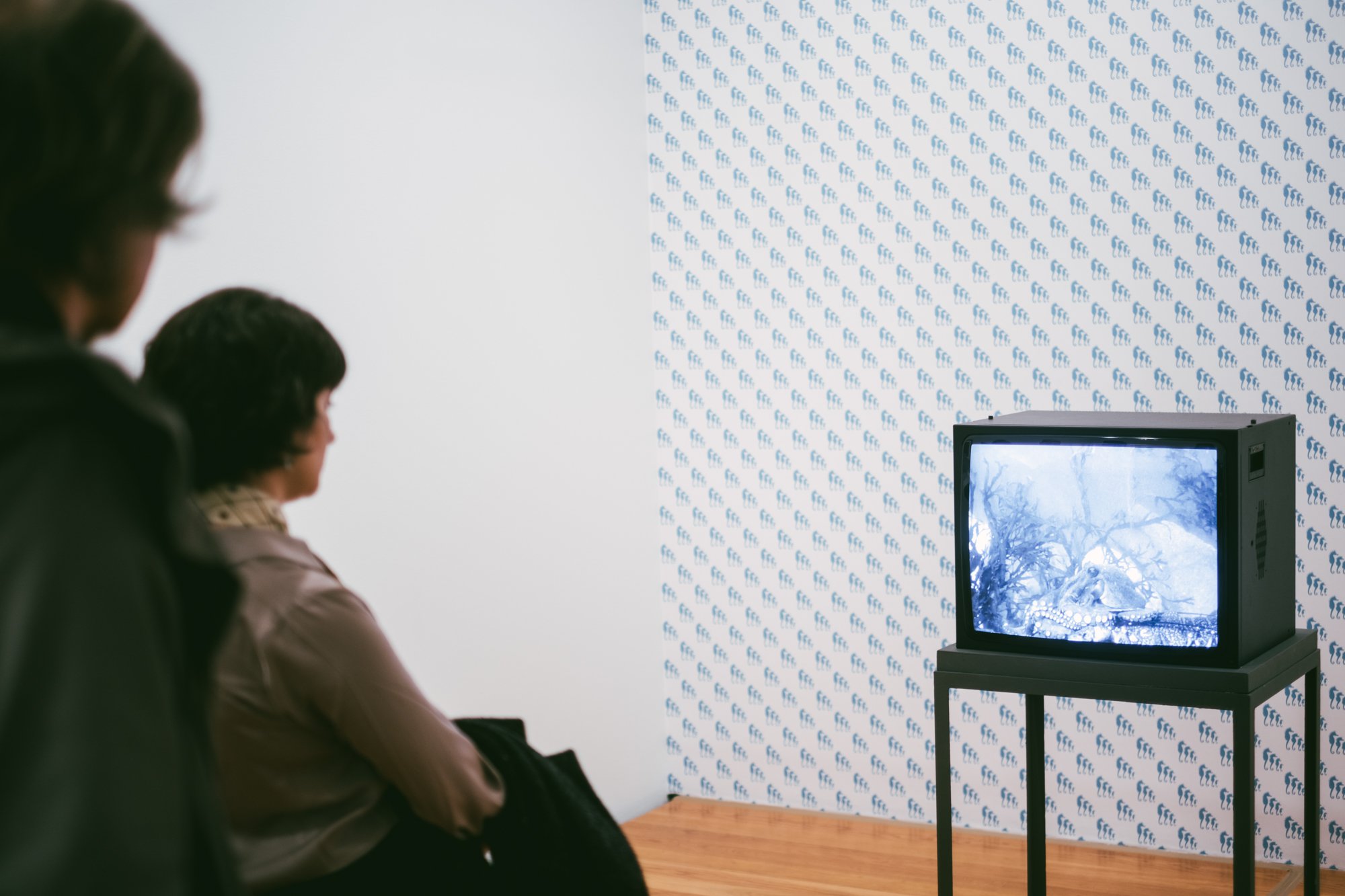JEAN PAINLEVÉ | 26 NOV 2024
> We dive into the largest exhibition dedicated to Jean Painevé's wonderful and unique work in Portugal. 
© Vera Marmelo - Culturgest.