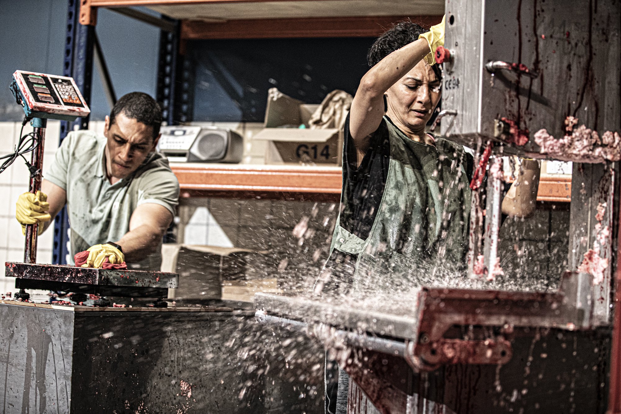 © Jean Louis Fernandez.