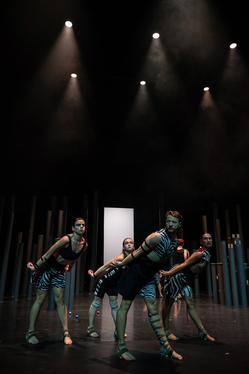 © João Octávio Peixoto.