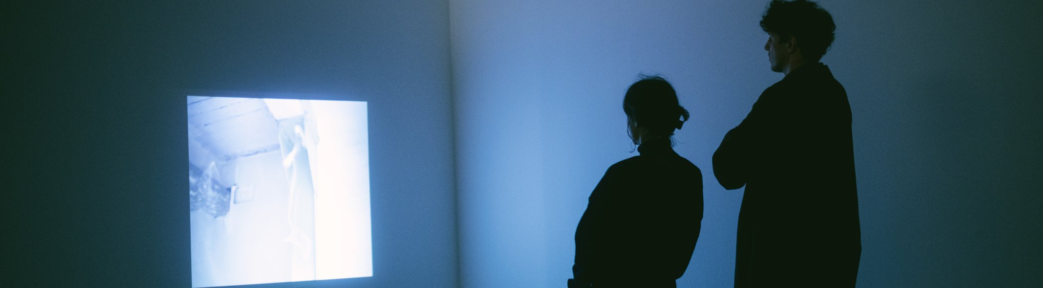 Visita guiada com curador e artistas