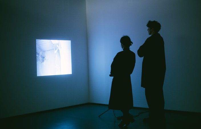 Guided tour with curator and artists