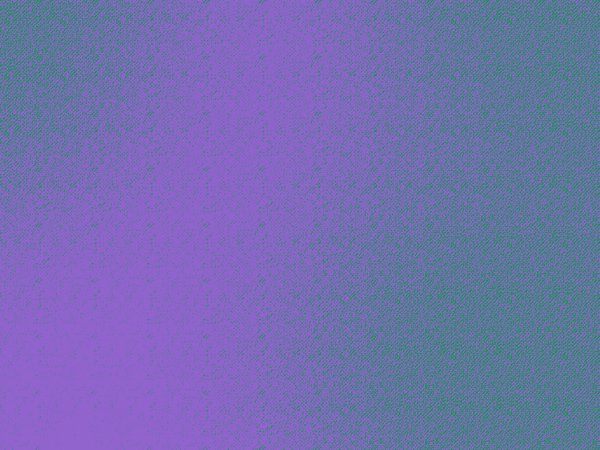 No Melhor Chá Cai a Mosca