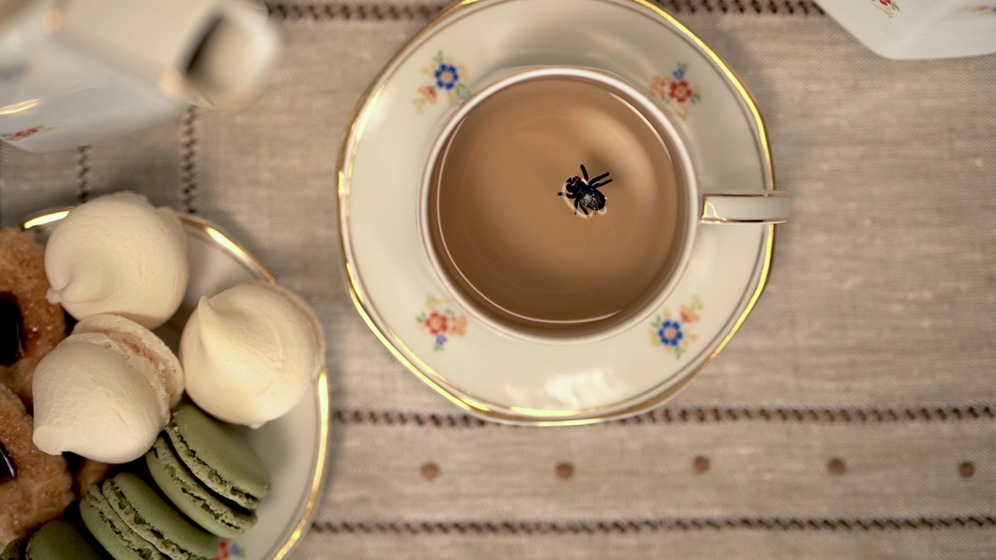 NO MELHOR CHÁ CAI A MOSCA