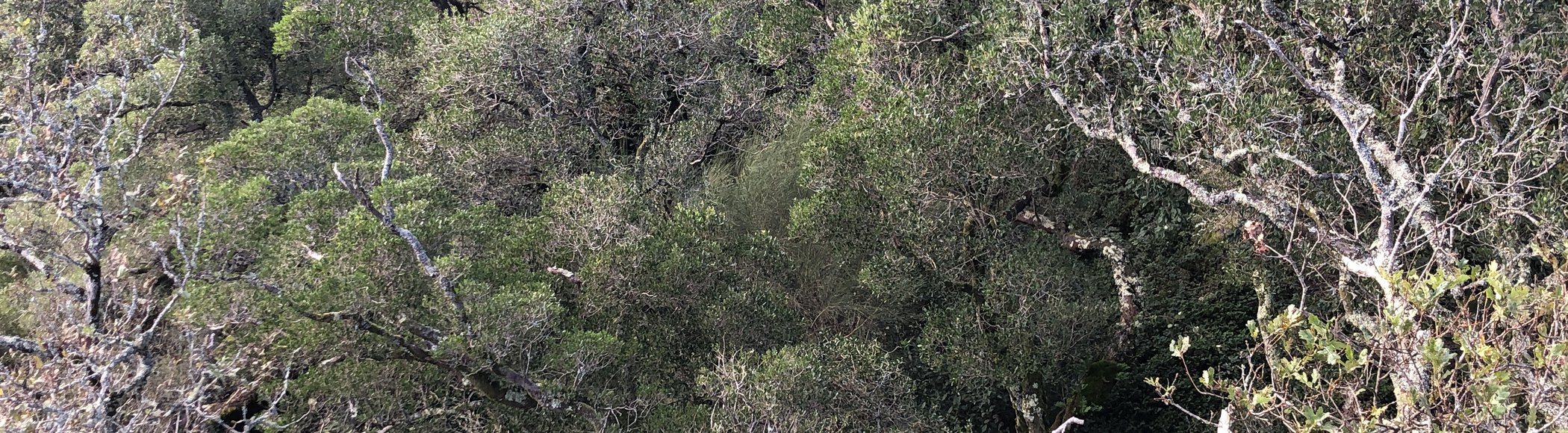 Biodiversidade - É Possível Reservar Metade do Planeta como “Natureza Pura”?