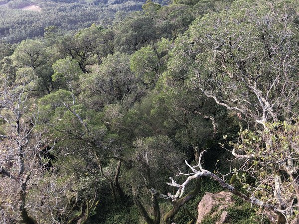 Biodiversity - Is it Possible to Set Aside Half the Planet as “Pure Nature”?
