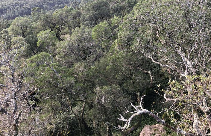 Biodiversidade - É Possível Reservar Metade do Planeta como “Natureza Pura”?