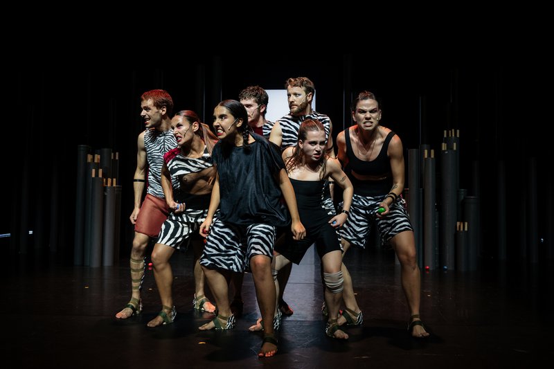 © João Octávio Peixoto.<br />
<br />
<br />
