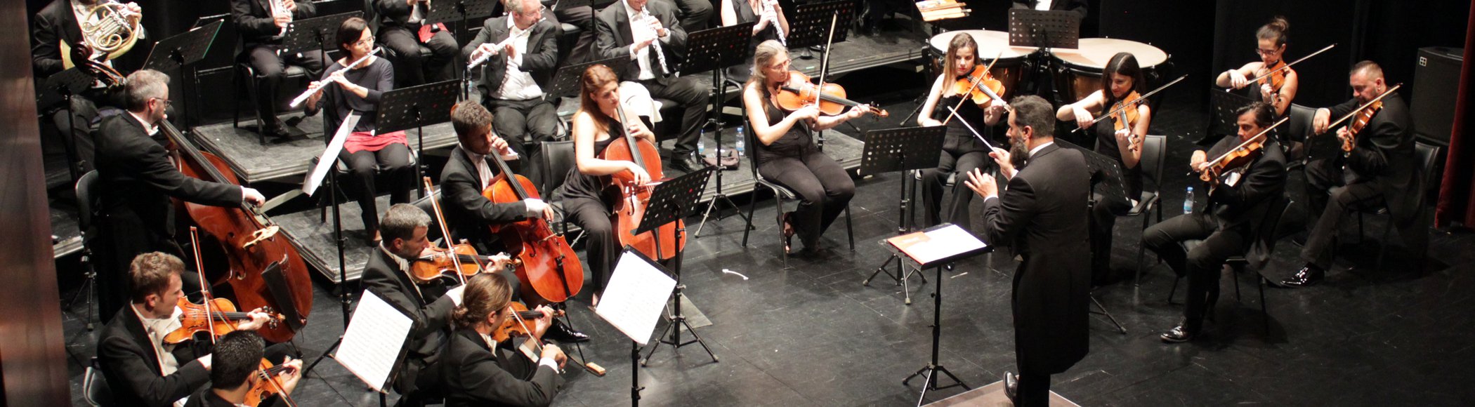 Orquestra Clássica do Sul