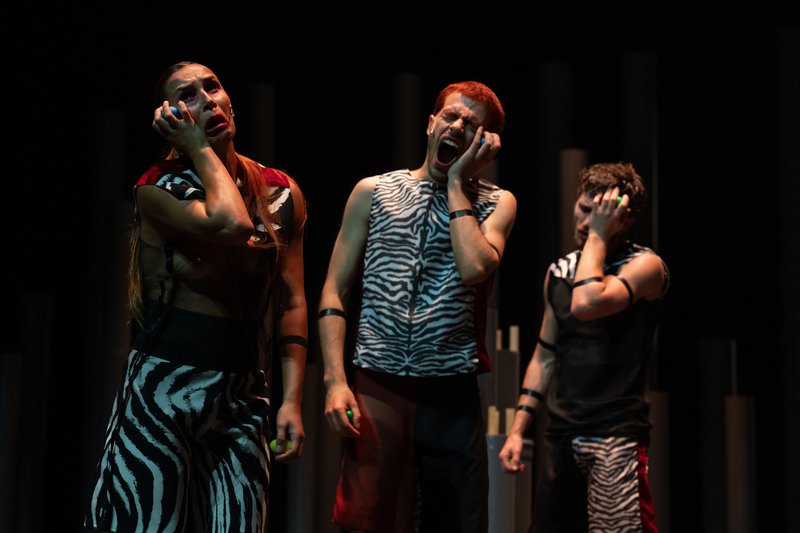 © João Octávio Peixoto.<br />
<br />
<br />
<br />
