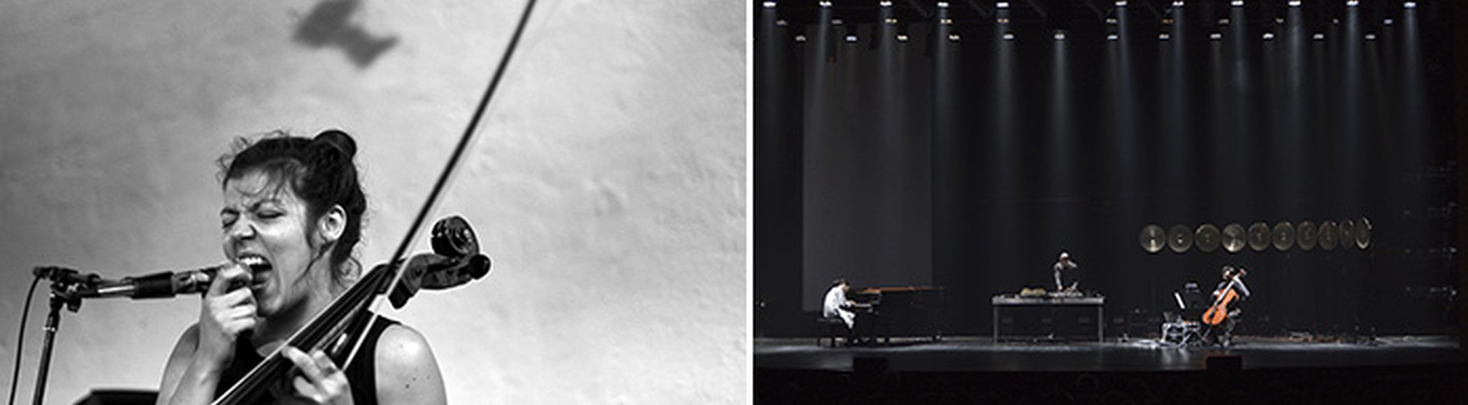 Joana Guerra, Harmonies
