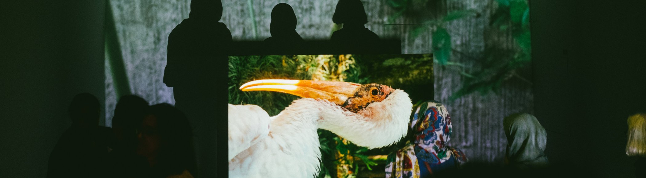 Nature Bores the Monster | Alexandre Estrela