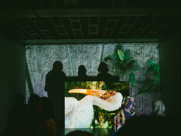 Nature Bores the Monster | Alexandre Estrela