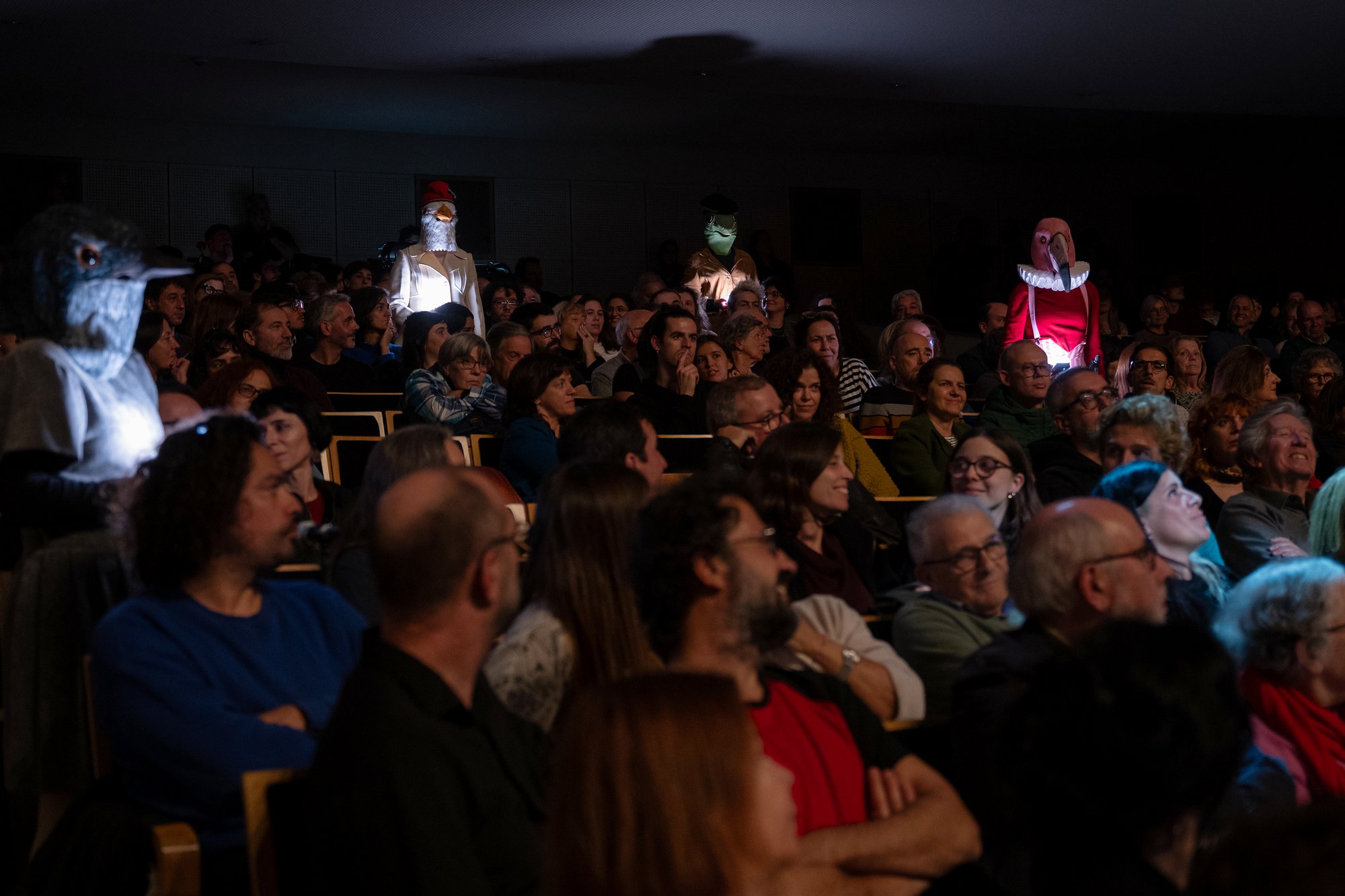 © João Octávio Peixoto