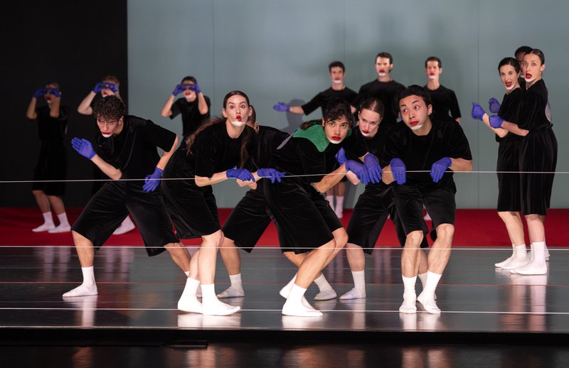 <em>Canine Jaunâtre 3</em> © Marc Domage