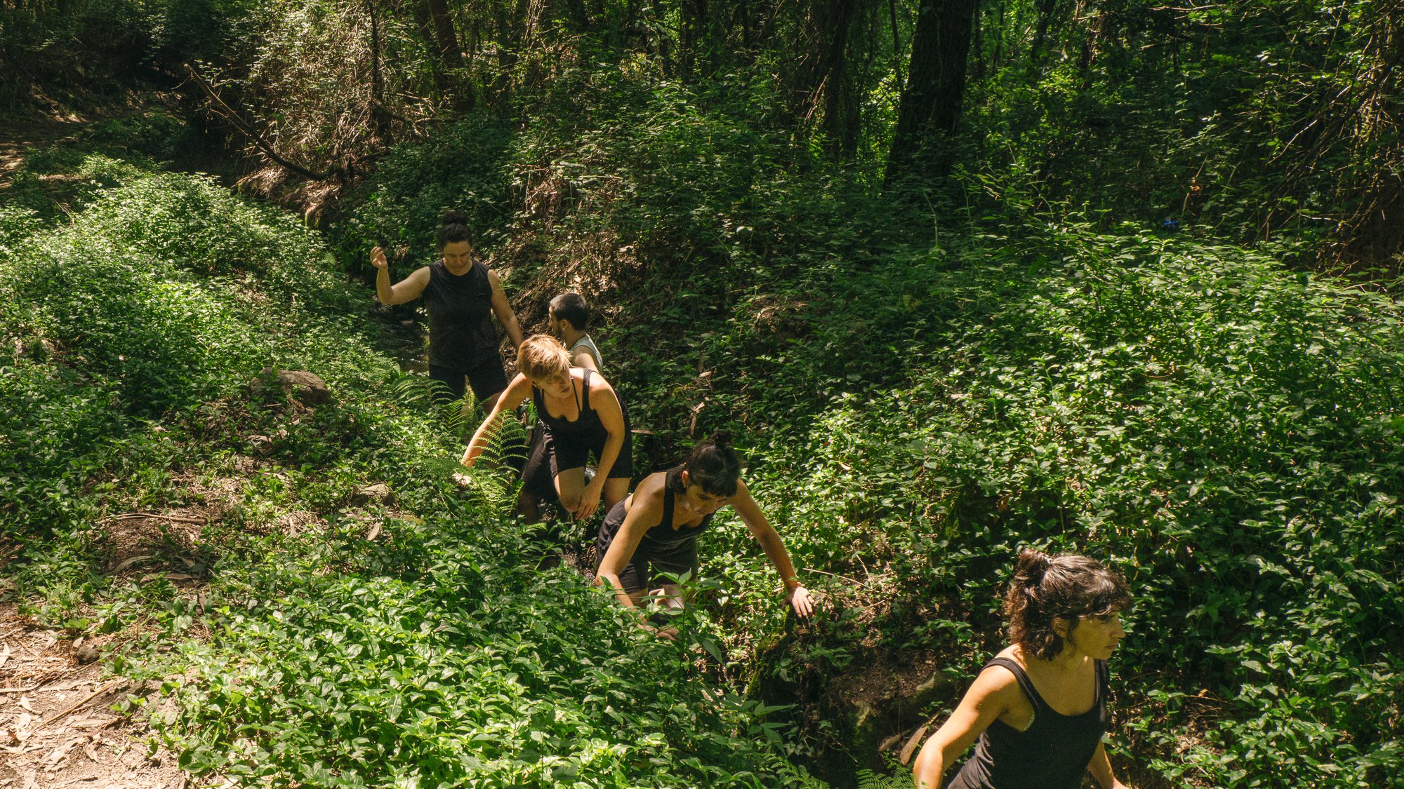 A FERTILE GROUND FOR IDEAS