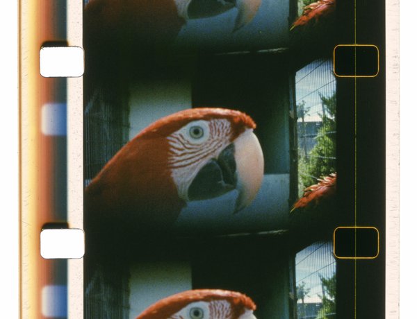 Stories from the CGD Collection on Google Arts