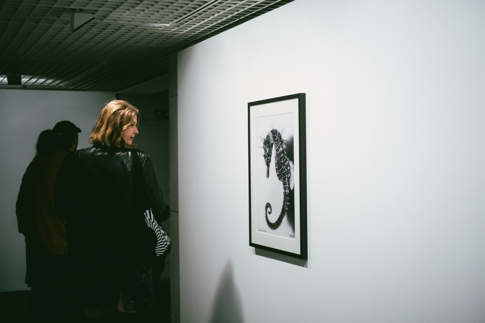 © Vera Marmelo - Culturgest.