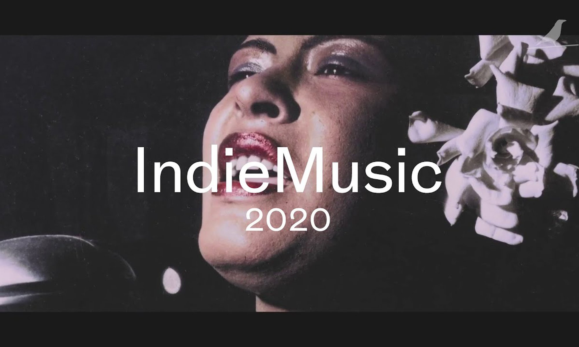 IndieLisboa 2019 [Teaser]