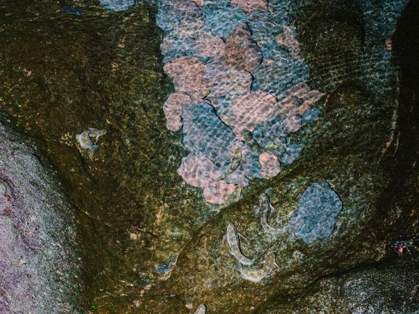 Water – Ecosystems in Coexistence