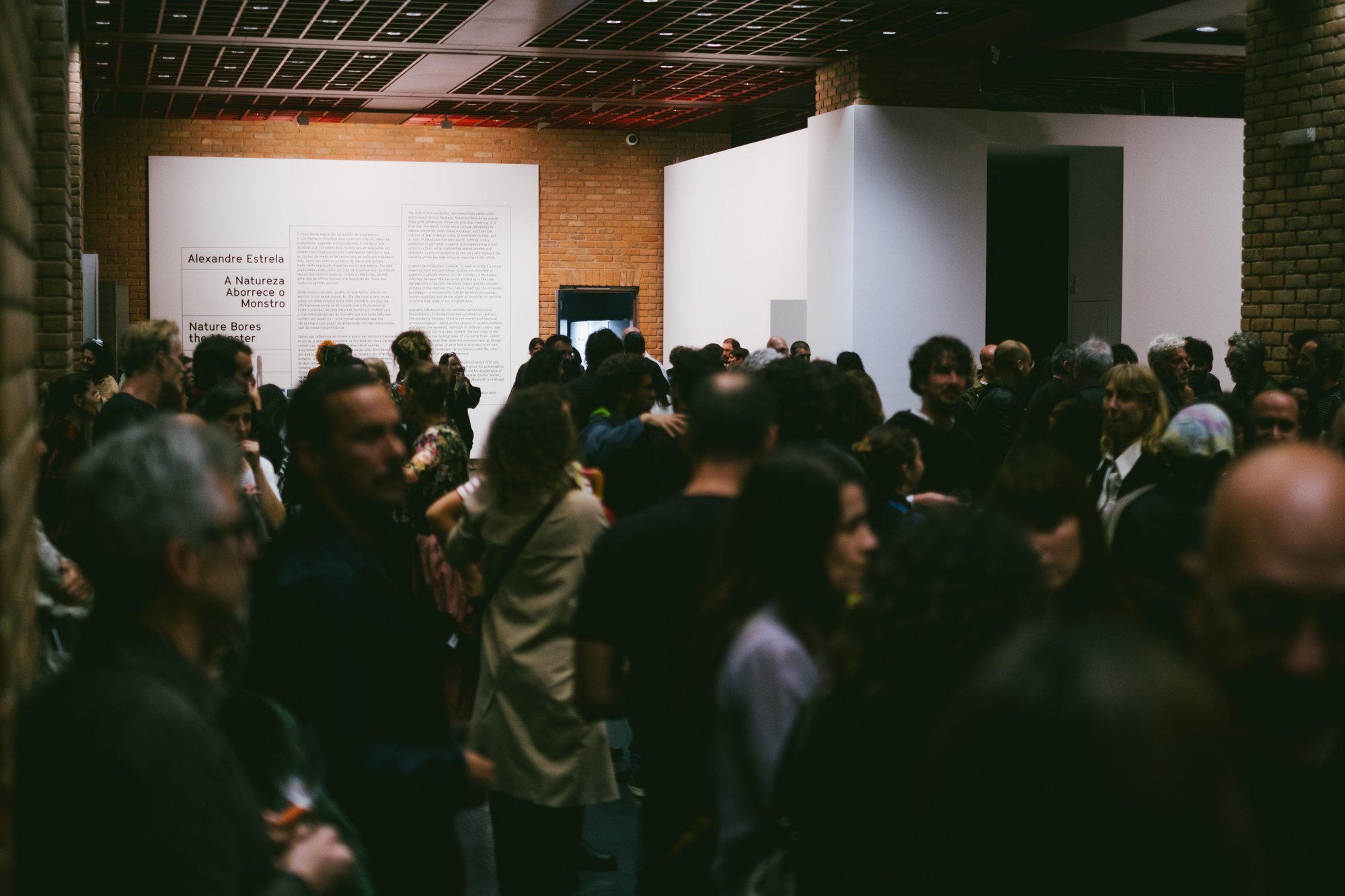 © Vera Marmelo - Culturgest.