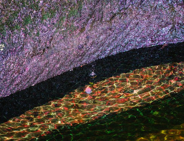 Eden X - Planetary with Other Intelligences